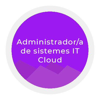 Administrador/a IT Cloud